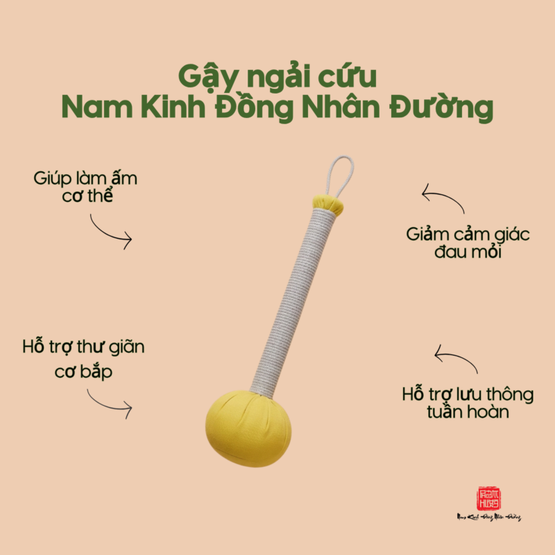 Gậy ngải cứu Nam Kinh Đồng Nhân Đường