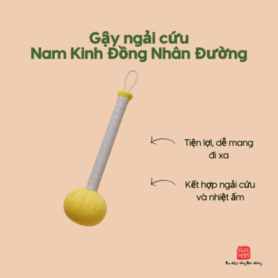 Gậy ngải cứu Nam Kinh Đồng Nhân Đường