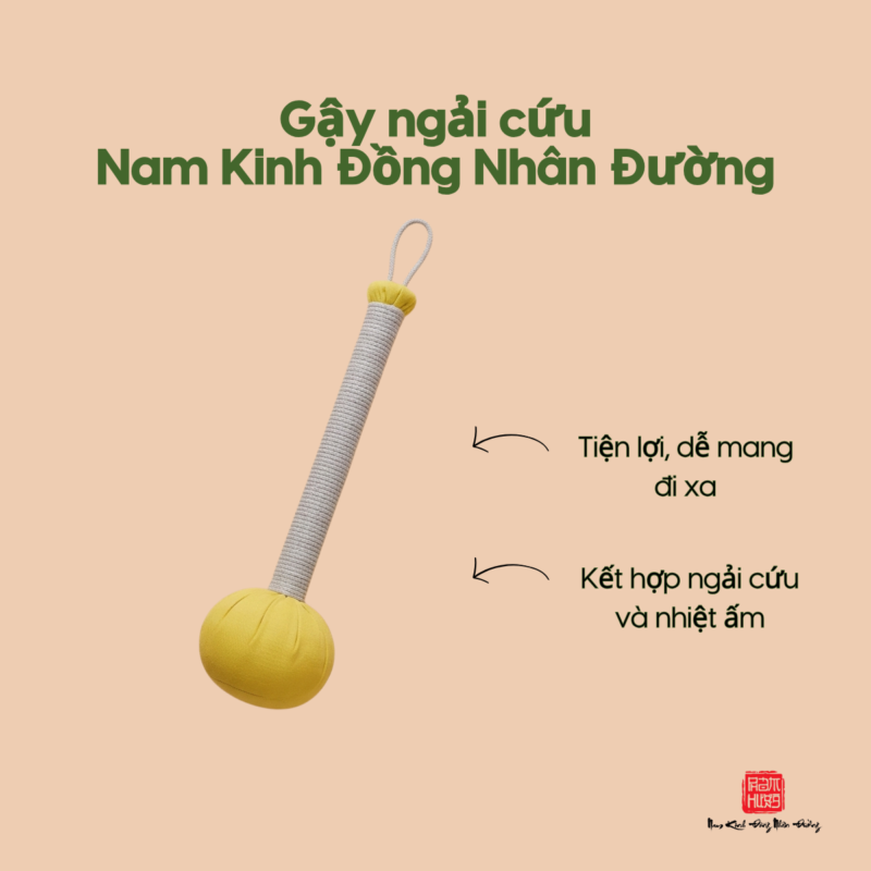 Gậy ngải cứu Nam Kinh Đồng Nhân Đường