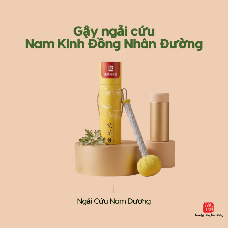 Gậy ngải cứu Nam Kinh Đồng Nhân Đường